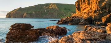 Ferieboliger i Bethells Beach