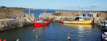 Dovolenkové domy v destinácii Fethard on Sea