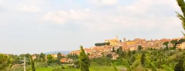 Holiday Homes in Montescudaio