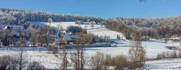 Mga Ski Resort sa Rehefeld-Zaunhaus