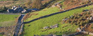 Cottages in Arthog