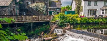 Cottages in Staveley