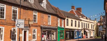 Cottages in Bungay