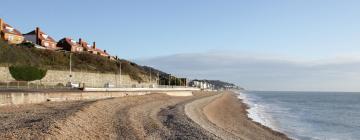 Hoteles que admiten mascotas en Sandgate