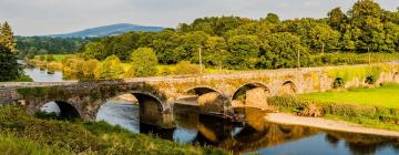 Hotel dengan Parking di Inistioge