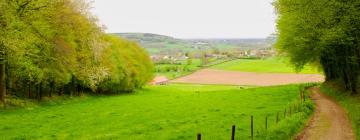 Hotels mit Parkplatz in Hombourg