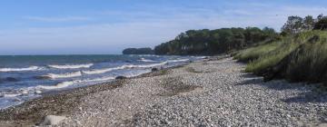 Alquileres vacacionales en la playa en Katharinenhof