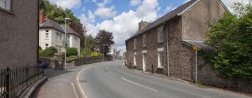 Pansijas pilsētā Llandysul