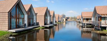Holiday Rentals in Reeuwijk