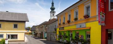 Hoteluri cu parcare în Frankenburg