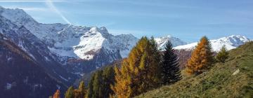 Allotjaments d'esquí a Celledizzo