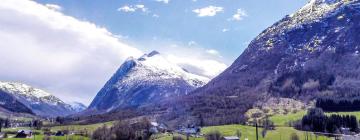 Pet-Friendly Hotels in Uskedalen