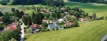 Holiday Rentals in Mollenberg