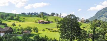 Apartamentos en Goldau