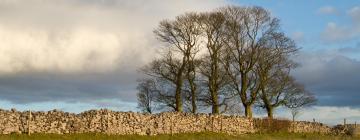 Ferieboliger i Westbury-sub-Mendip