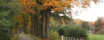 Hotels met Parkeren in Halle