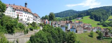 Hoteles con estacionamiento en Lichtensteig