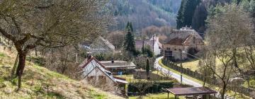 Hotels mit Parkplatz in Bukovec