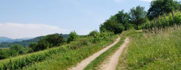 Parkolóval rendelkező hotelek Gutach im Breisgauban