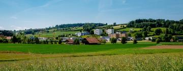 Hoteles con estacionamiento en Oberkirch