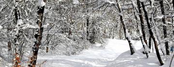 Ski Resorts in Sankt Kathrein am Hauenstein