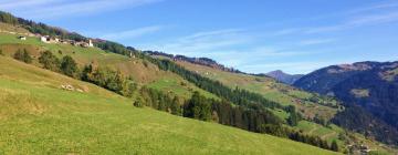 Hotels mit Parkplatz in Wergenstein