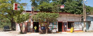 Beach rentals in Sardinal