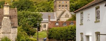 Hotels in East Meon