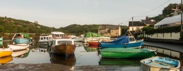 Cottages in Golant