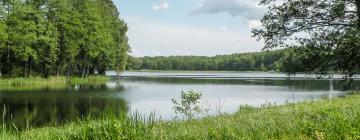 Отели с парковкой в городе Łubowo