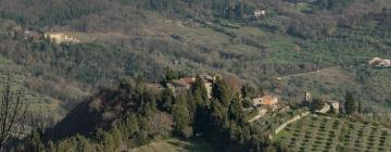 Apartments in Castiglione