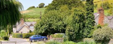 Holiday Rentals in East Dean