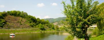 Cheap hotels in Detzem