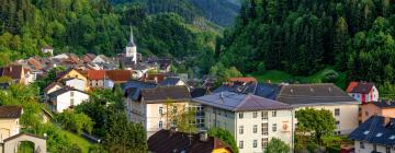 Hotels met Parkeren in Bad Eisenkappel