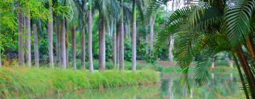 Guest Houses in Brumadinho