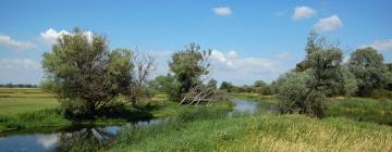 Ξενοδοχεία με πάρκινγκ σε Borkheide