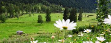 Hótel með bílastæði í Strass im Attergau