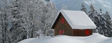 Holiday Rentals in Linthal