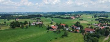 Apartments in Hergatz