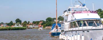 Cottages in Reedham