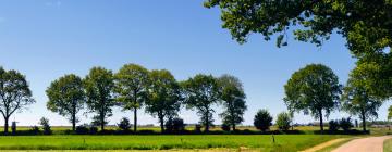 Hotels mit Parkplatz in Meerlo