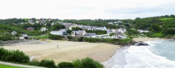 Cottages in Cilgerran