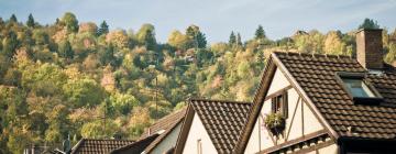 Hotels with Parking in Neuenbürg