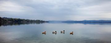 Hoteluri cu parcare în Lomnago