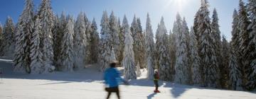 Ski Resorts in Nové Hamry