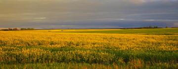 Hoteles en Portage La Prairie