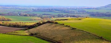 Cottages in Storrington