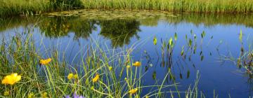 Hoteles familiares en Deurle