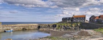 Cottages in Craster