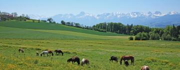 Hoteles familiares en Münsingen